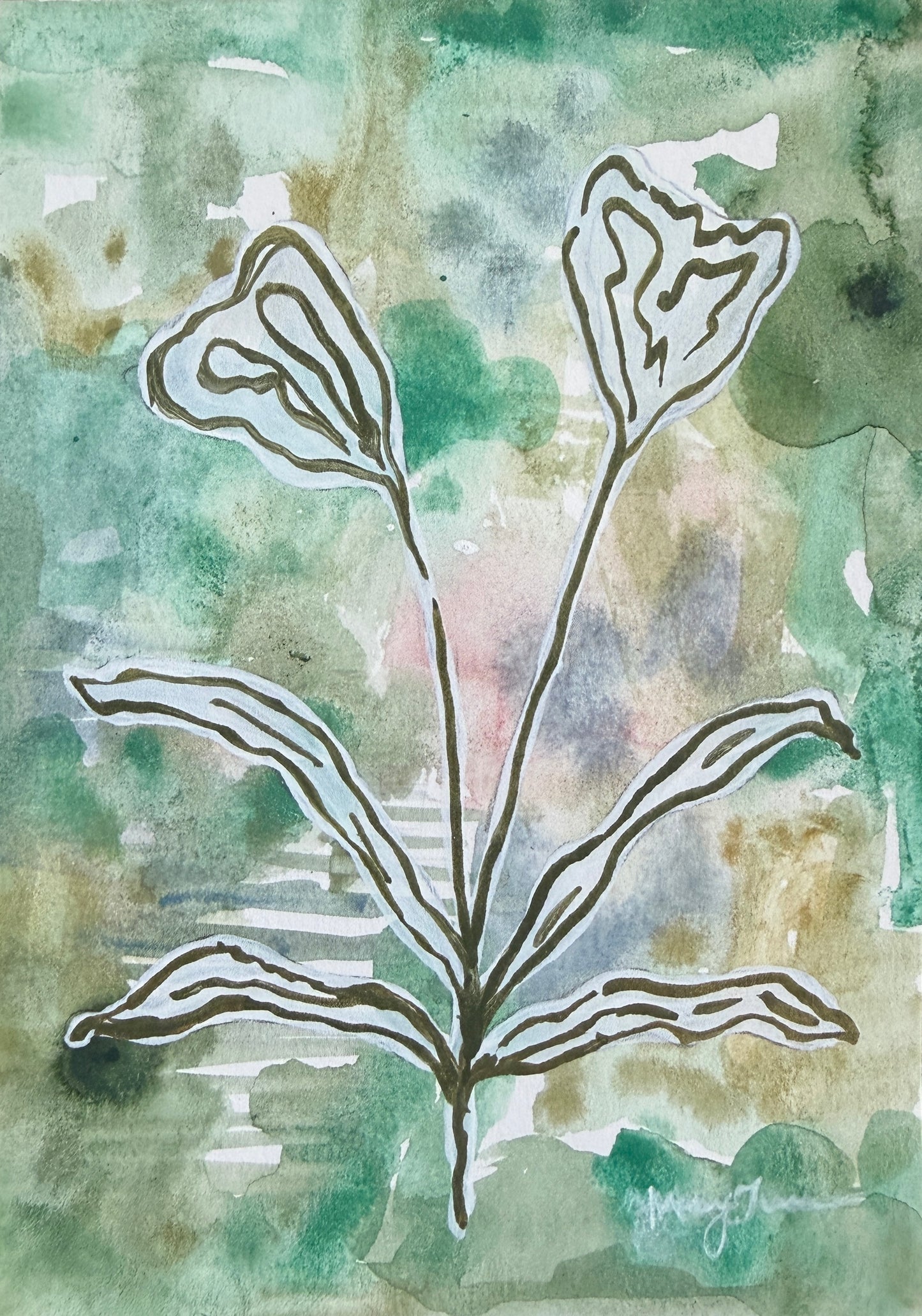 Tiger Lilies